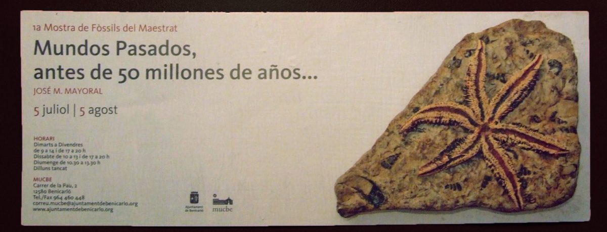 Fósiles de museo
